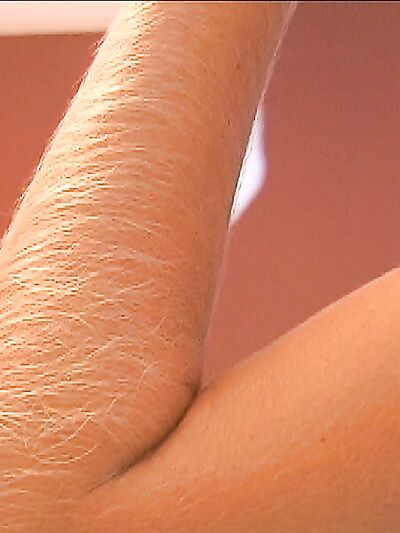 Hairy Arms Lori Anderson